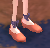 Equipped Alice's Shoes viewed from an angle