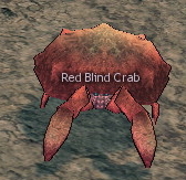 Picture of Red Blind Crab