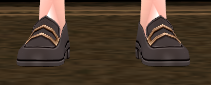 Equipped Troupe Member Shoes (F) viewed from the front