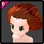Berched Hair Coupon (M) Icon.png