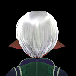 Equipped Magic Academy Wig (M) viewed from the back