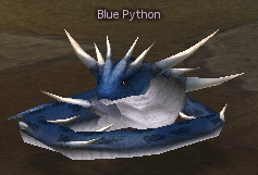 Picture of Blue Python