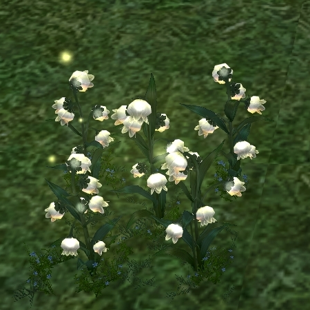 How Homestead Fairy Flower Patch (Whole) appears at night