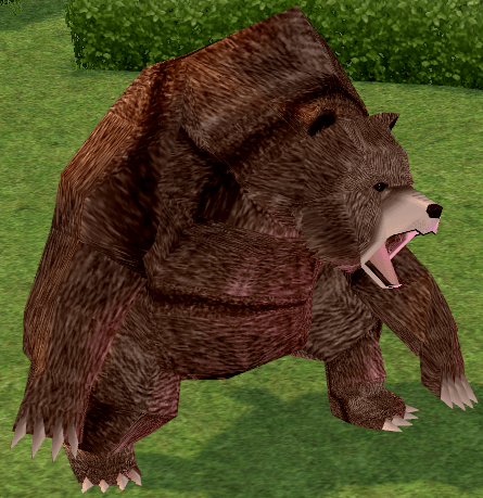 Picture of Angry Bear