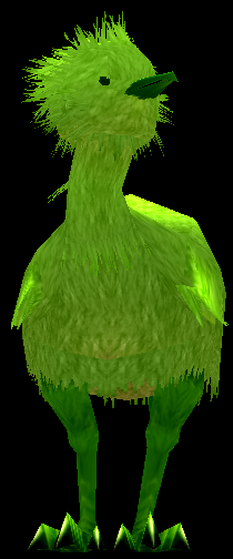 Picture of Green Kiwi