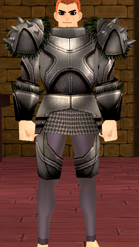 Equipped GiantMale Birnam Plate Armor viewed from the front