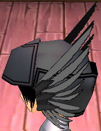 Equipped Exquisite Arashi Helm viewed from the side