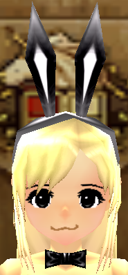 Leather Bunny Headband Equipped Front.png