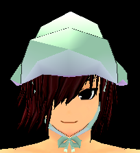 Pilgrim Hat (Female Giant) Equipped Front.png