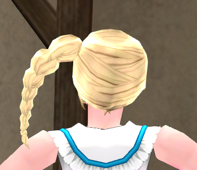 Equipped Side Braid Wig (F) viewed from the back