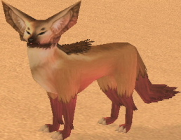 Picture of Red-legged Fennec Fox
