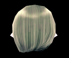 Equipped Autumn Wig (F) viewed from the back