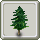 Fir Tree (Homestead)