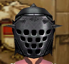 Equipped Birnam Plate Helmet viewed from the front with the visor down