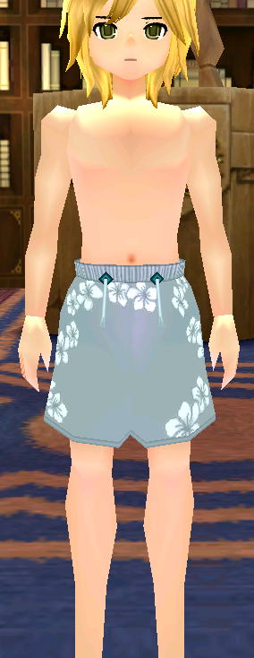 Swim Trunks (M) (Type 2) Equipped Front.png