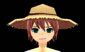 Straw Hat Equipped Front.png