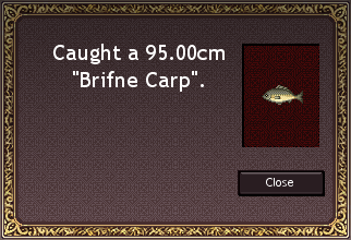 Fishing Item Caught Message.png