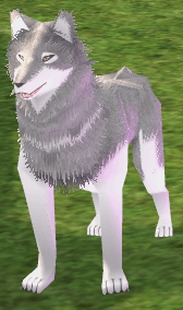 Picture of White Wolf (Grandmaster)