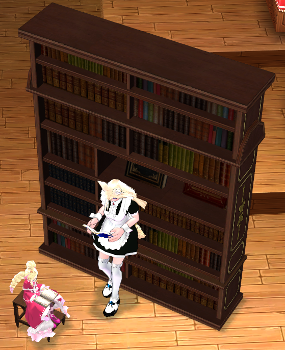 Beatrice s Bookshelf Mabinogi World Wiki