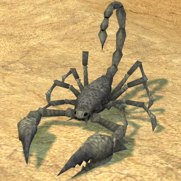 Picture of Gray Rock Scorpion