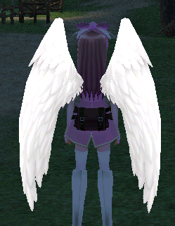 White Angel Wings Equipped Back Night.png