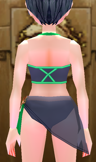 Equipped Swimsuit 3 (F) viewed from the back