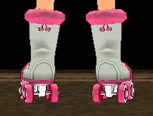Equipped Roller Skates viewed from the back