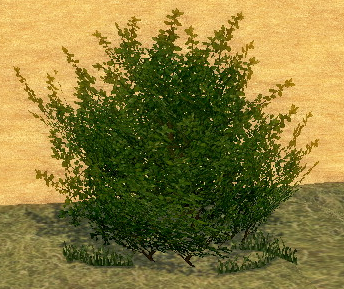 Building preview of Homestead Shrub Tree