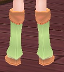 Equipped Odelia Wizard Boots viewed from the back
