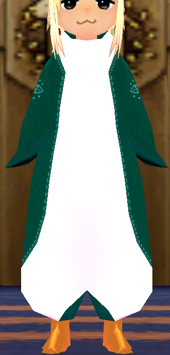 Equipped Penguin Robe viewed from the front with the hood down