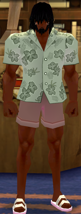 Premium Newbie Summer Ensemble (Giant) Equipped Male Front.png