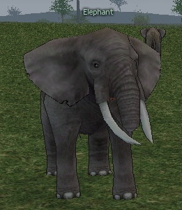 Picture of Elephant (Brown)