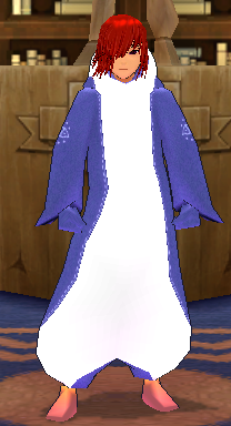 Equipped Giant Penguin Robe viewed from the front with the hood down