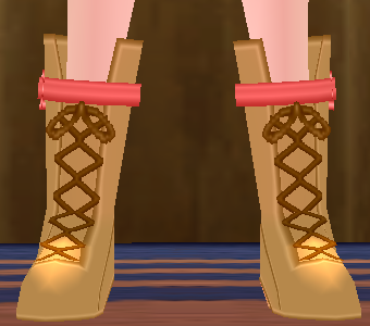 Equipped Phoenix Knight Shoes (F) viewed from the front