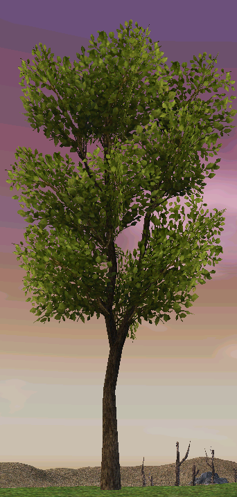 Building preview of Homestead Prairie Tree