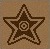 Star Mark (Book of Ancient Medals).jpg
