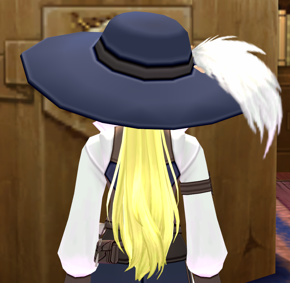 Equipped Erinn Merchants' Guild Wig and Hat (F) viewed from the back