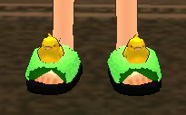 Chickie Slippers Equipped Front.png