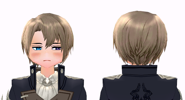 Scholar Wig (M) preview.png