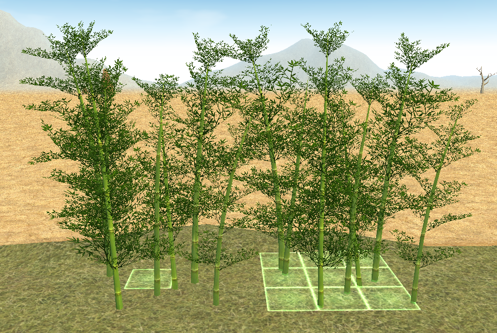 Homestead_Harmonious_Bamboo_Size_Comparison.png