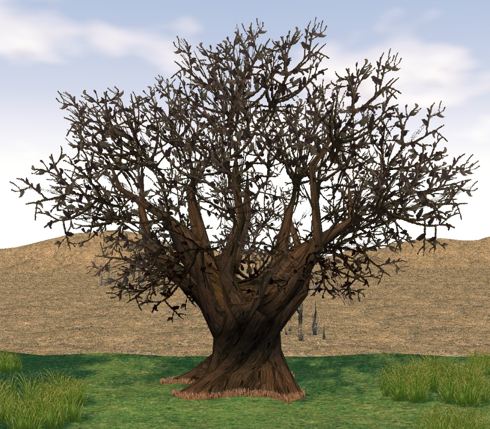 Homestead Tir Na Nog Town Square Tree - Mabinogi World Wiki