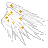 White Star-dusted Wings.png