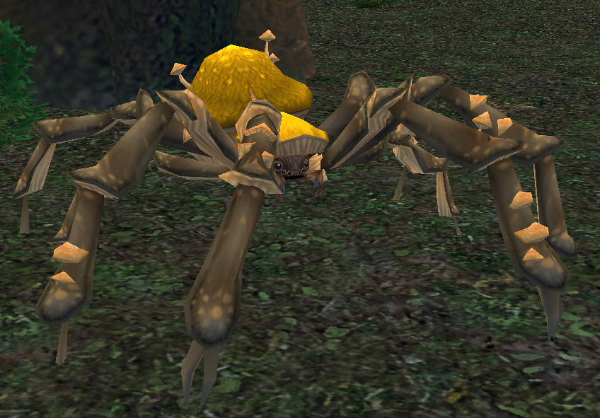 Picture of Giant Gold Forest Mushroom Spider