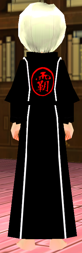 Equipped Female Champion Guild Robe viewed from the back with the hood down