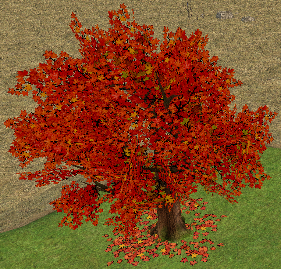 Building preview of Homestead Maple Tree