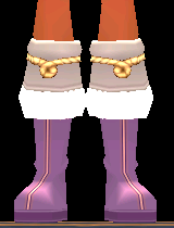 Nutcracker Shoes Equipped Front.png