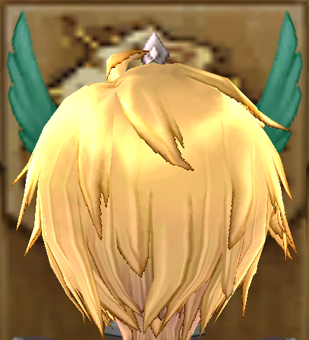 Equipped Royal Prince Circlet viewed from the back