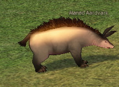 Picture of Maned Aardvark