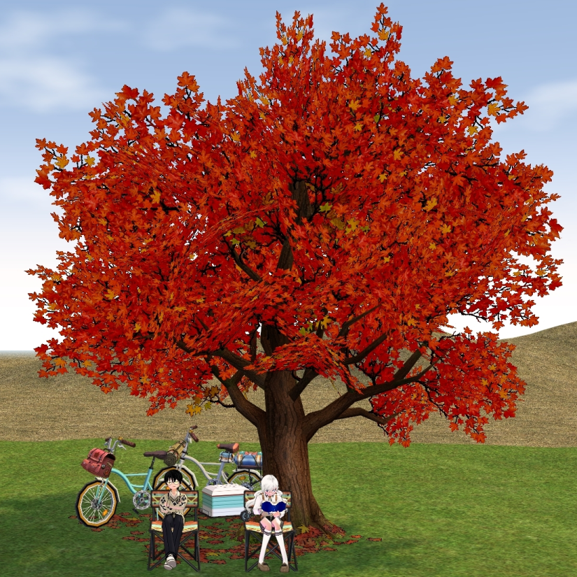 Seated preview of Camping Bicycle Set (for 2)