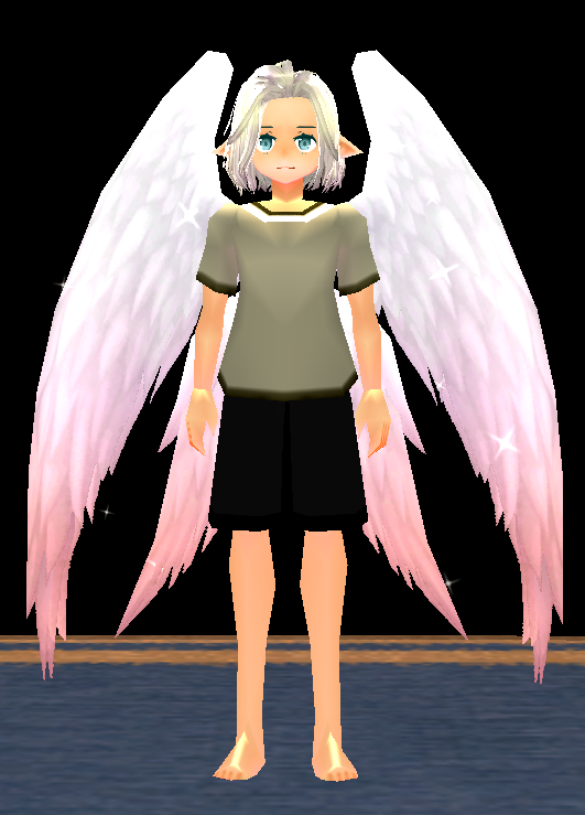 Festia Wings Equipped Front.png